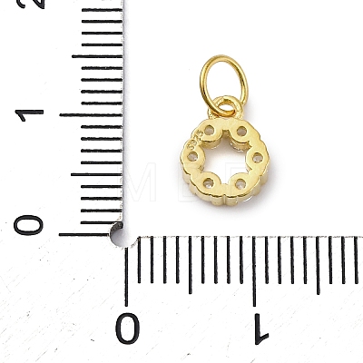 925 Sterling Silver Micro Pave Clear Cubic Zirconia Charms STER-S010-03C-G-1