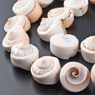 Natural Spiral Shell Bead Strands X-SSHEL-N034-106-1