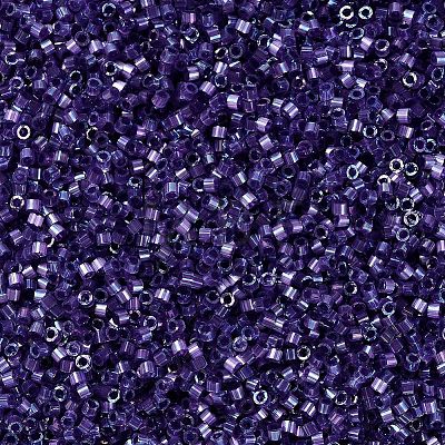 MIYUKI Delica Beads X-SEED-J020-DB1881-1