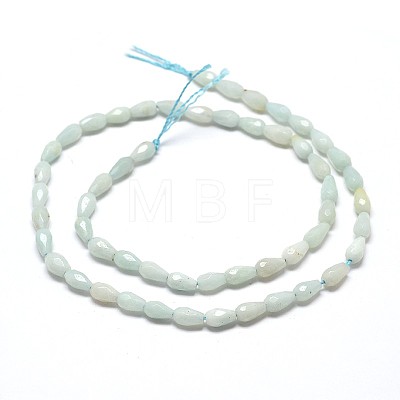 Natural Amazonite Teardrop Bead Strands X-G-P071-74-1