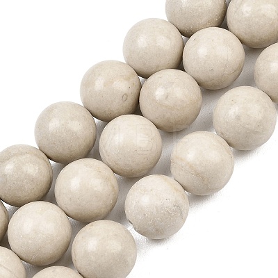 Natural Petrified Wood Beads Strands G-L648-A03-16mm-01-1