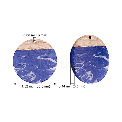 16Pcs 4 Colors Transparent Resin & Walnut Wood Pendants RESI-CJ0001-205-1