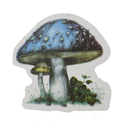 Mushroom with Bottle Waterproof PET Stickers DIY-G116-04C-1