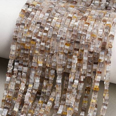 Natural Botswana Agate Beads Strands GG-CBA2498-C06-01-1