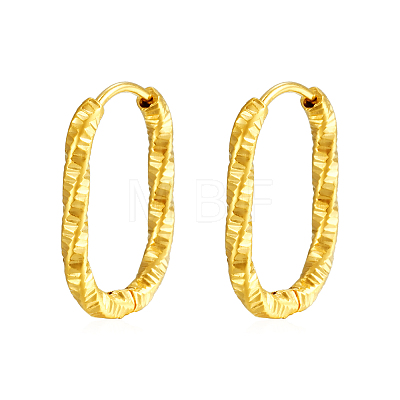 Elegant Stainless Steel Hoop Earrings IT2195-4-1