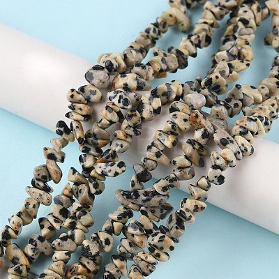 Natural Dalmatian Jasper Beads Strands X-G-G0003-B29-1