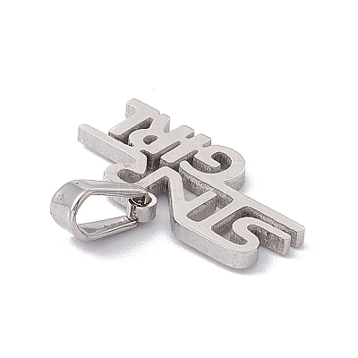 304 Stainless Steel Charms STAS-G284-06P-1