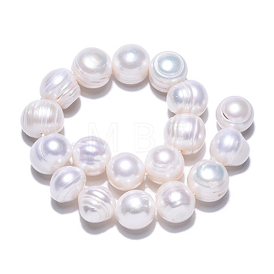 Natural Cultured Freshwater Pearl Beads Strands PEAR-N013-10D-1