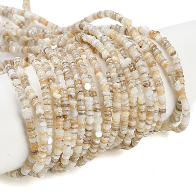Natural Freshwater Shell Beads Strands X-BSHE-H109-13A-1