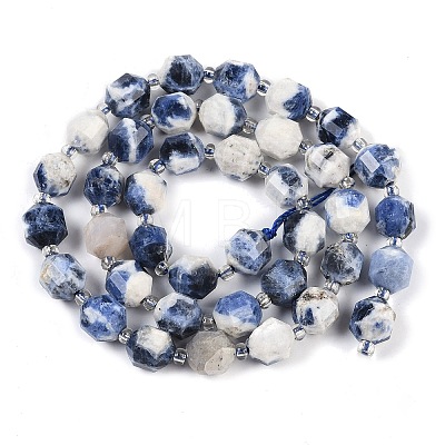 Natural Sodalite Beads Strands G-O201B-112F-1