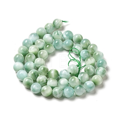 Natural Glass Beads Strands G-I247-32B-1