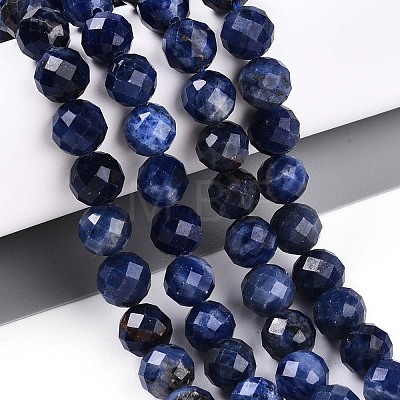 Natural Sodalite Beads Strands G-S345-8mm-26-1