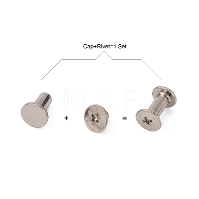 Iron Screw Rivets IFIN-WH0030-02-1