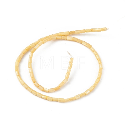 Natural Freshwater Shell Dyed Beads Strands X-SHEL-M018-12-01-1