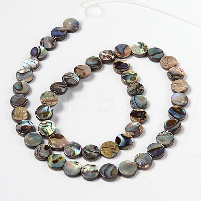 Natural Abalone Shell/Paua Shell Beads Strands SHS014-01-1