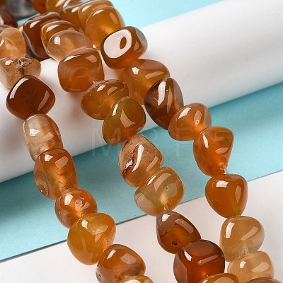 Natural Agate Beads Strands G-H295-B01-08-1