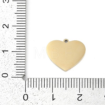 304 Stainless Steel Charms STAS-I325-136D-G-1