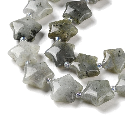 Natural Labradorite Beads Strands G-NH0005-020-1