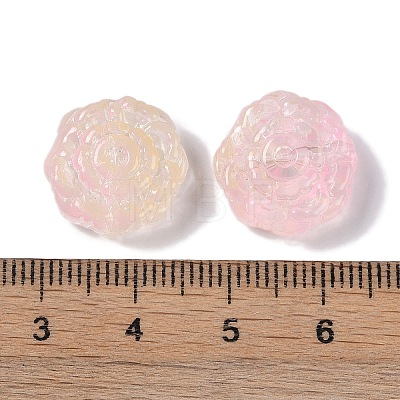 Painted Glass Beads GLAA-S202-14D-1