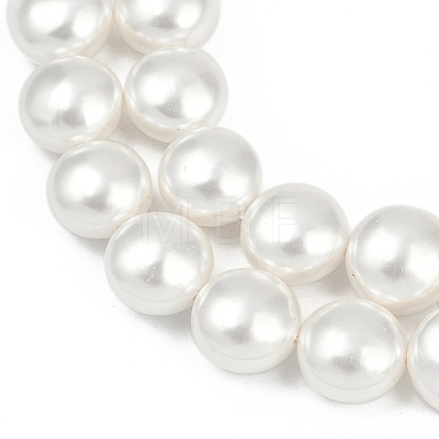 Electroplated Shell Pearl Beads Strands BSHE-G027-13C-1