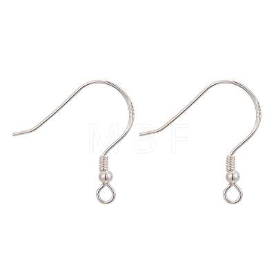 925 Sterling Silver Earring Hooks STER-K167-053A-S-1