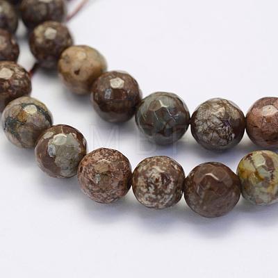 Natural Snowflake Obsidian Beads Strands G-G697-F07-10mm-1