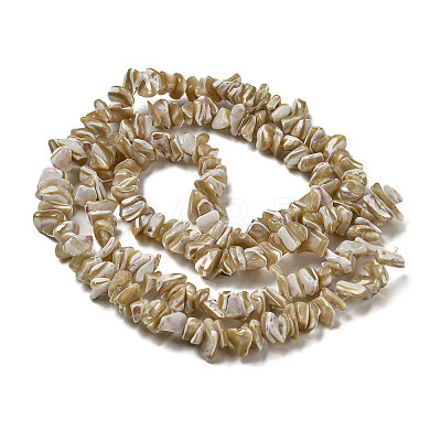 Natural Trochus Shell Beads Strands SSHEL-H072-09-1
