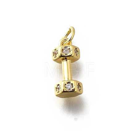 Brass Micro Pave Cubic Zirconia Charms X-KK-P295-19G-1
