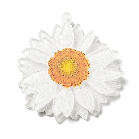 Printed Transparent Acrylic Pendants SACR-P029-B01-1