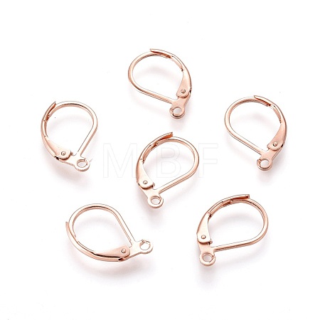 304 Stainless Steel Leverback Earring Findings STAS-P166-12RG-1