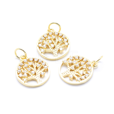 Brass Micro Pave Cubic Zirconia Charms ZIRC-L070-06G-1