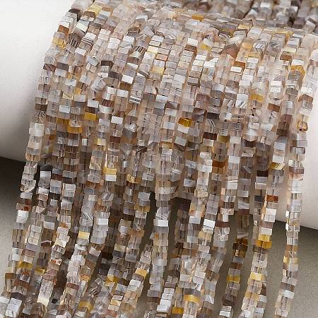 Natural Botswana Agate Beads Strands GG-CBA2498-C06-01-1