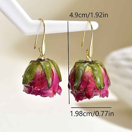 Brass Resin Dangle Earrings for Women NB9245-1-1