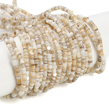 Natural Freshwater Shell Beads Strands X-BSHE-H109-13A-1