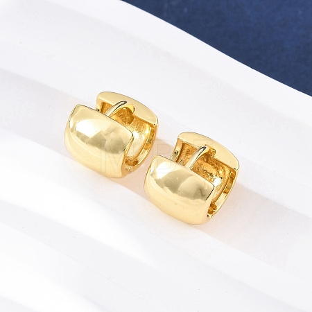 Brass Hoop Earrings EJEW-Q015-21B-G-1