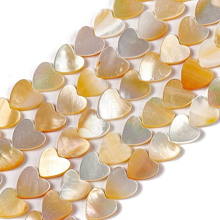 Natural Yellow Shell Beads Strands SHEL-F003-01B-1