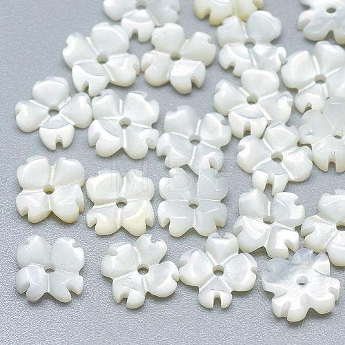 Natural White Shell Beads SSHEL-S260-015-1