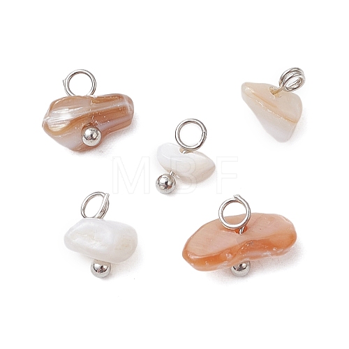 Natural Sea Shell Chip Charms PALLOY-JF03438-02-1