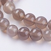 Natural Agate Beads Strands G-G583-10mm-08-3