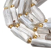 Natural Botswana Agate Beads Strands G-D353-A11-4