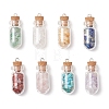 8Pcs 8 Styles Synthetic Turquoise & Natural Green Aventurine & Citrine & Rose Quartz & Lapis Lazuli & Quartz Crystal & Amethyst & Red Jasper Chip Glass Bottle Pendants PALLOY-JF04073-1