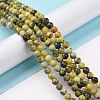 Natural Yellow Turquoise(Jasper) Beads Strands GSR6mmC007-2