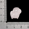 Natural Rose Quartz Carved Beads G-L656-A03-01-3