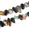Natural Indian Agate Beads Strands G-Z091-A24-4