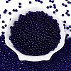 FGB Transparent Glass Seed Beads SEED-N013-01A-03-2