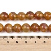 Handmade Lampwork Beads Strand LAMP-B056-10mm-05-5