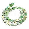 Natural Freshwater Shell Beads Strands SH-CBA93AD-06D-3