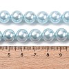 Electroplated Shell Pearl Beads Strands BSHE-G041-10mm-03-4