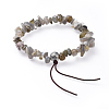 Chip Natural Labradorite Stretch Bracelets BJEW-JB04564-01-3