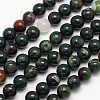 Natural Bloodstone Beads Strands G-N0166-04-4mm-1